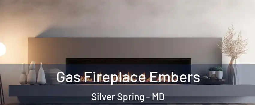  Gas Fireplace Embers Silver Spring - MD