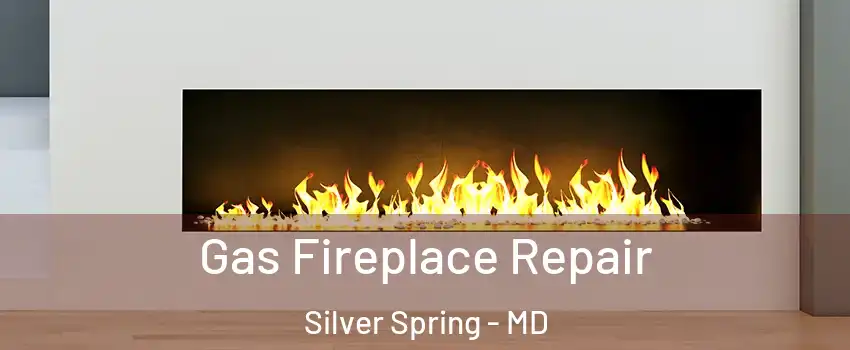  Gas Fireplace Repair Silver Spring - MD