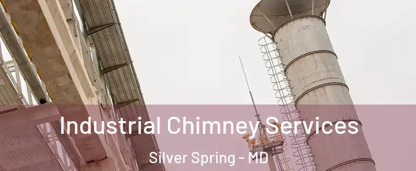  Industrial Chimney Services Silver Spring - MD