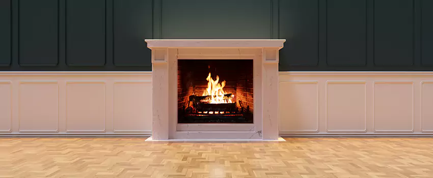 Napoleon Electric Fireplaces Inspection Service in Silver Spring, Maryland