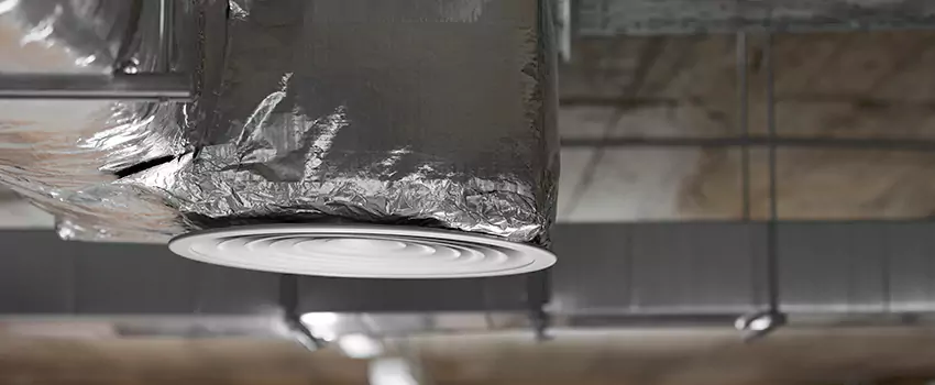 Signs of Dust Accumulation in Vents in Silver Spring, MD