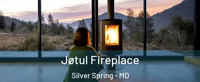  Jøtul Fireplace Silver Spring - MD