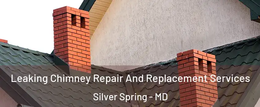  Leaking Chimney Repair And Replacement Services Silver Spring - MD