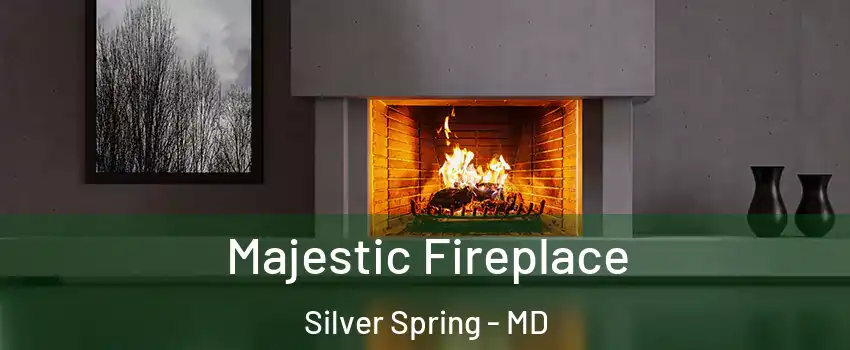  Majestic Fireplace Silver Spring - MD