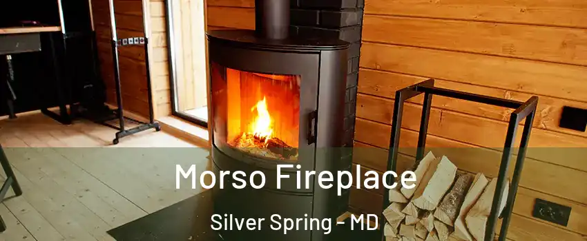  Morso Fireplace Silver Spring - MD