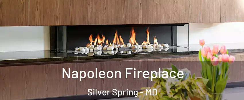  Napoleon Fireplace Silver Spring - MD