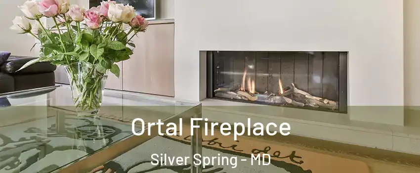 Ortal Fireplace Silver Spring - MD