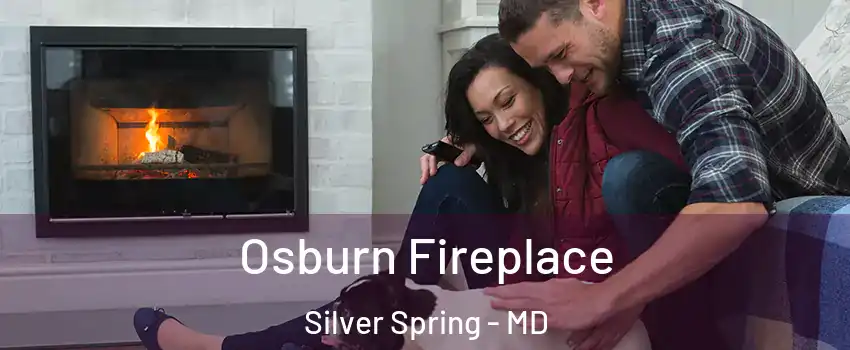  Osburn Fireplace Silver Spring - MD