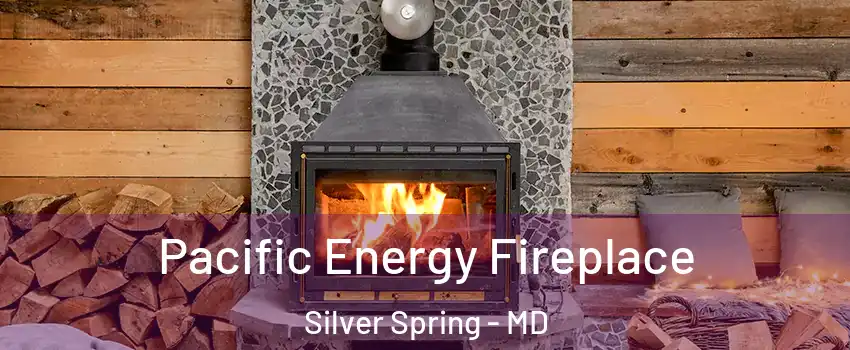  Pacific Energy Fireplace Silver Spring - MD