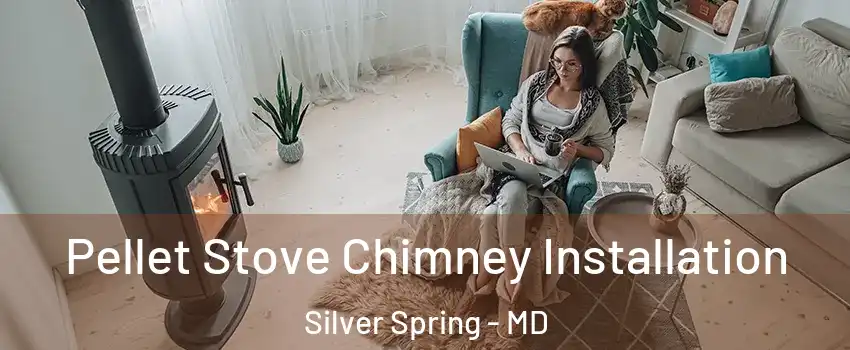  Pellet Stove Chimney Installation Silver Spring - MD