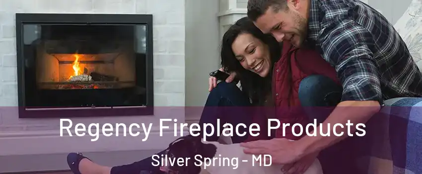  Regency Fireplace Products Silver Spring - MD