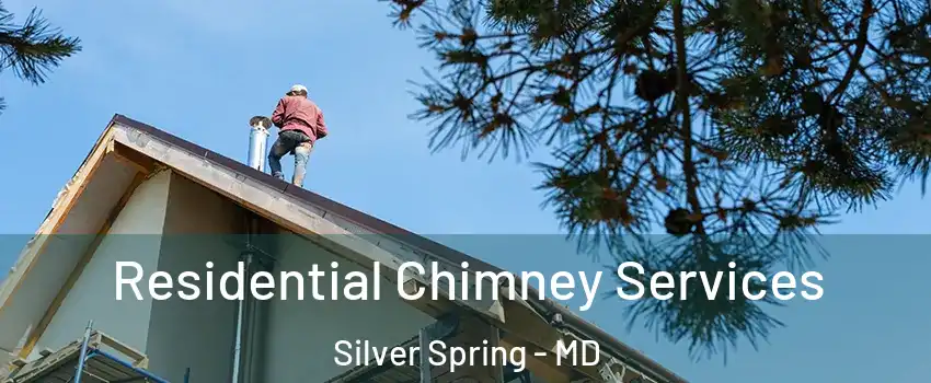  Residential Chimney Services Silver Spring - MD