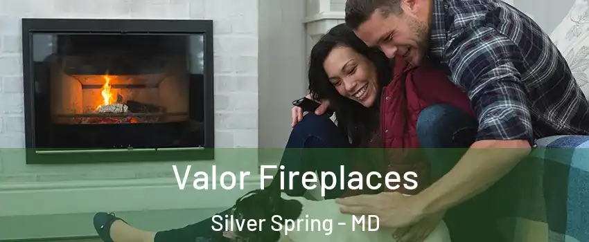  Valor Fireplaces Silver Spring - MD