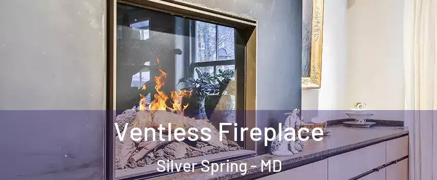  Ventless Fireplace Silver Spring - MD