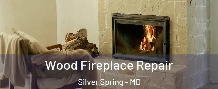  Wood Fireplace Repair Silver Spring - MD