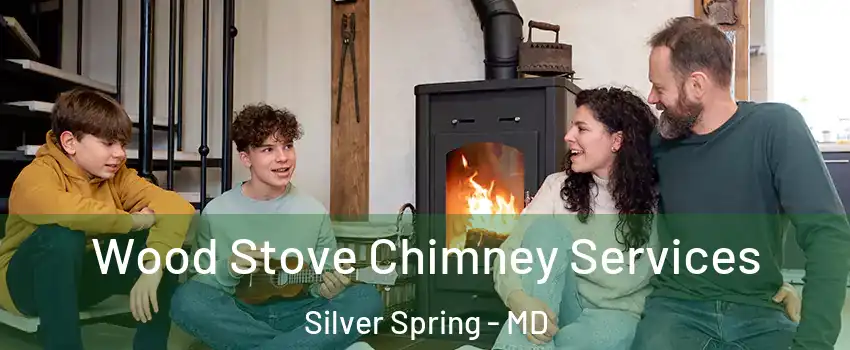  Wood Stove Chimney Services Silver Spring - MD